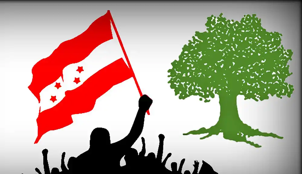 कांग्रेसले जितेका १७ सिट कुन कुन हुन् ?