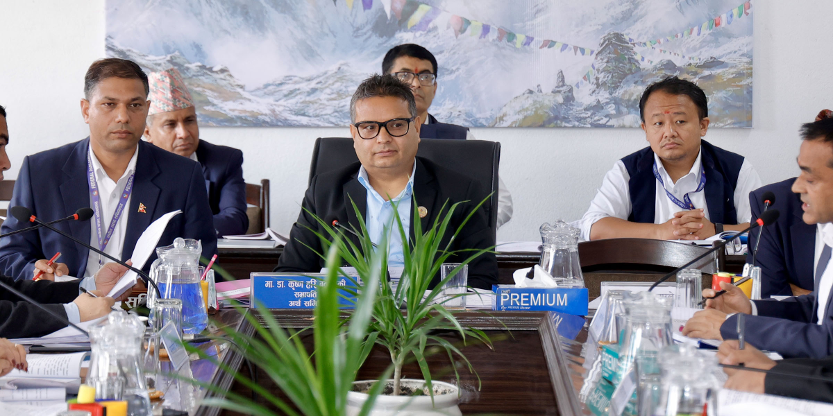 कारबाहीपछि पनि बैंकको बोर्डमा फर्किने बाटो खुल्दै, बाफिया संशोधनको तयारी