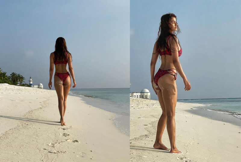 disha patani hot